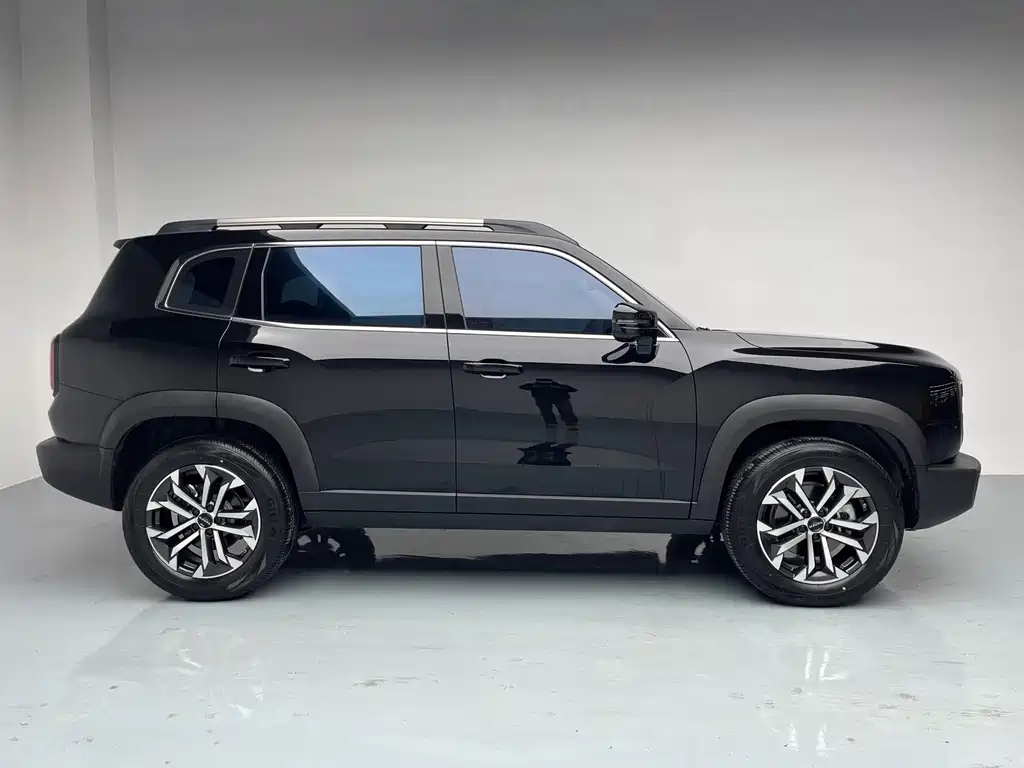Haval Haval Big Dog 2024 1.5T DCT Border Collie Edition 2024 - thumbnail 4