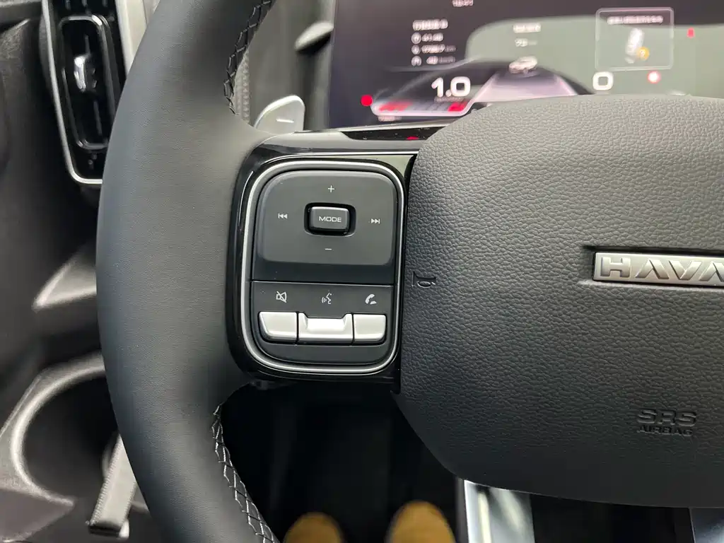 Haval Haval Big Dog 2024 1.5T DCT Border Collie Edition 2024 - thumbnail 7