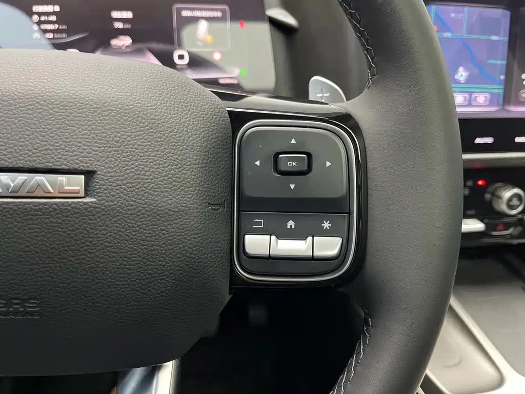 Haval Haval Big Dog 2024 1.5T DCT Border Collie Edition 2024 - thumbnail 8