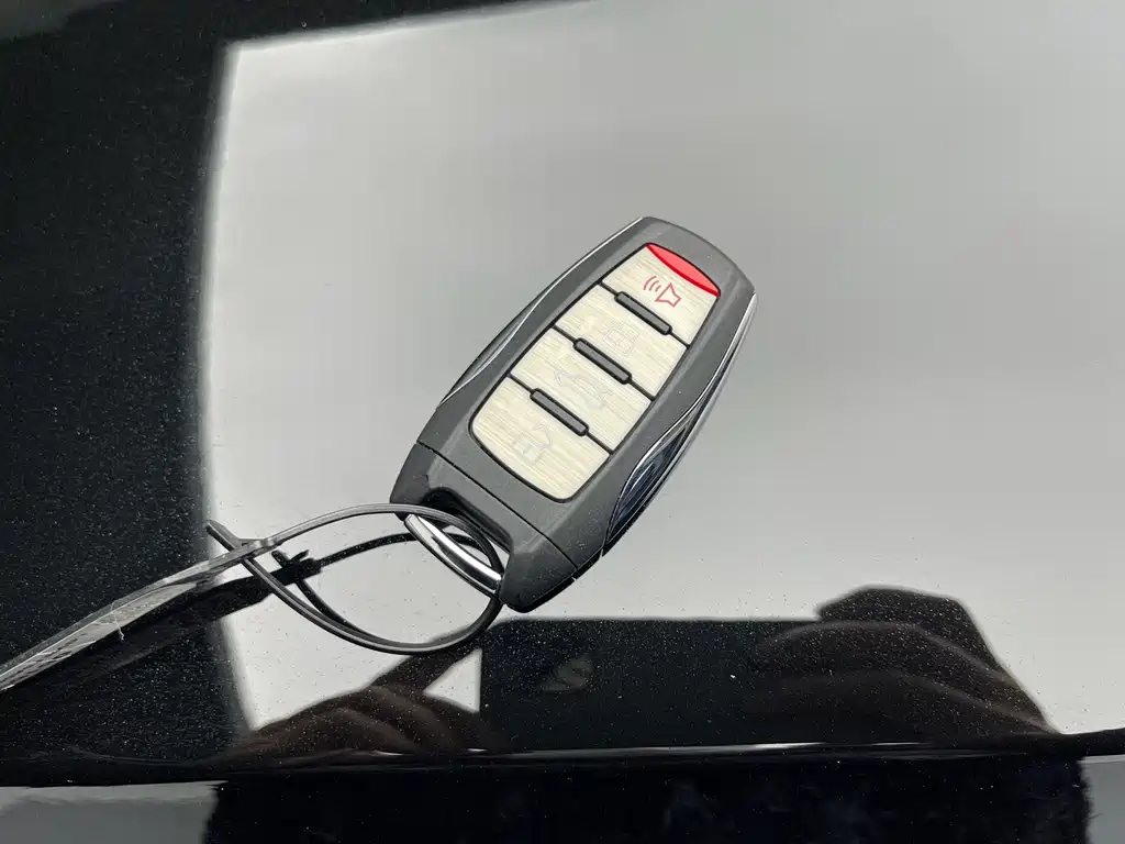 Haval Haval Big Dog 2024 1.5T DCT Border Collie Edition 2024 - thumbnail 11