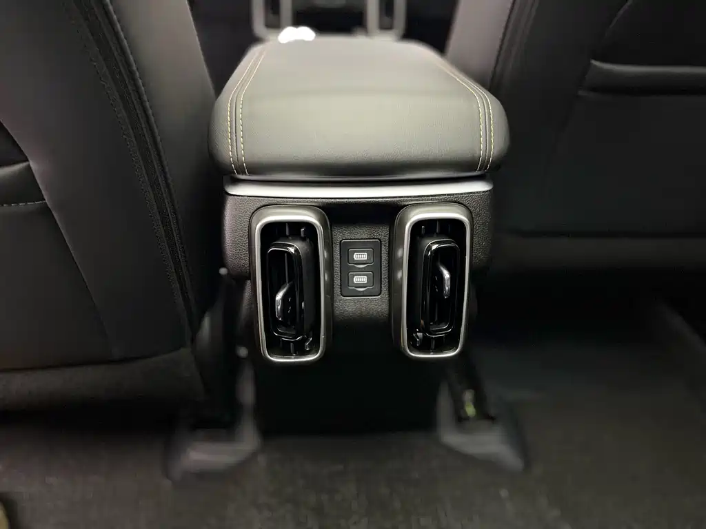 Haval Haval Big Dog 2024 1.5T DCT Border Collie Edition 2024 - thumbnail 16
