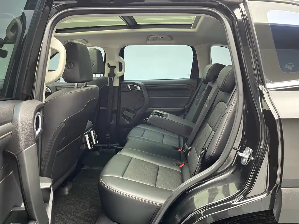 Haval Haval Big Dog 2024 1.5T DCT Border Collie Edition 2024 - thumbnail 20