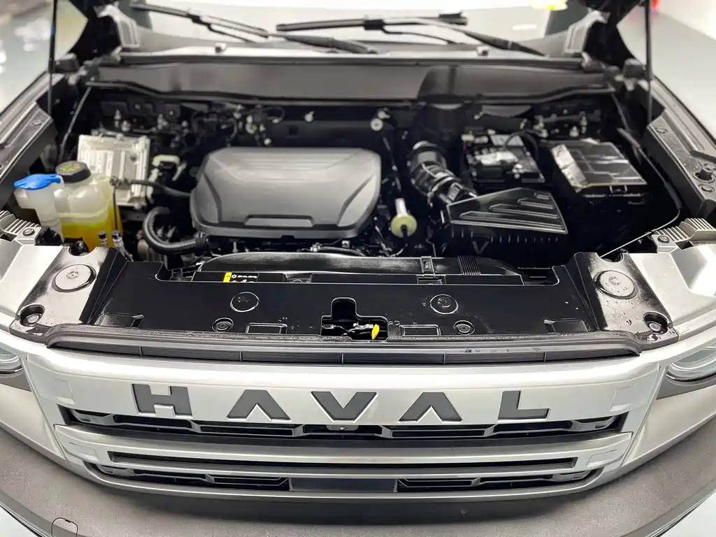 Haval Haval Big Dog 2024 1.5T DCT Border Collie Edition 2024 - thumbnail 24