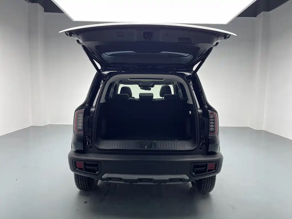 Haval Haval Big Dog 2024 1.5T DCT Border Collie Edition 2024 - thumbnail 25