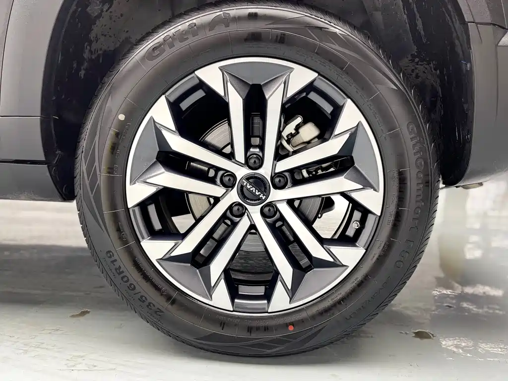 Haval Haval Big Dog 2024 1.5T DCT Border Collie Edition 2024 - thumbnail 27