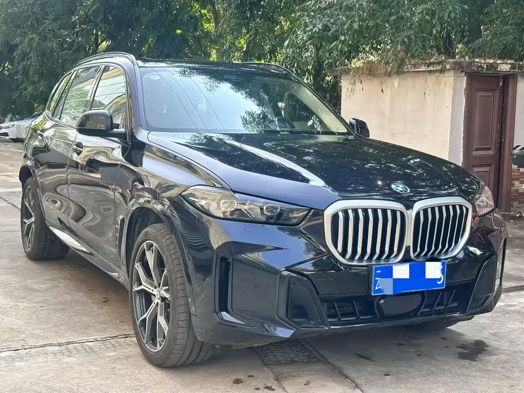 BMW BMW X5 2025 xDrive 30Li M Sport Shadow Night Package 2025 - thumbnail 2