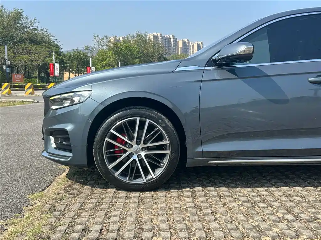 Geely Auto Geely Starray 2021 2.0TD Premium 2021 - thumbnail 5