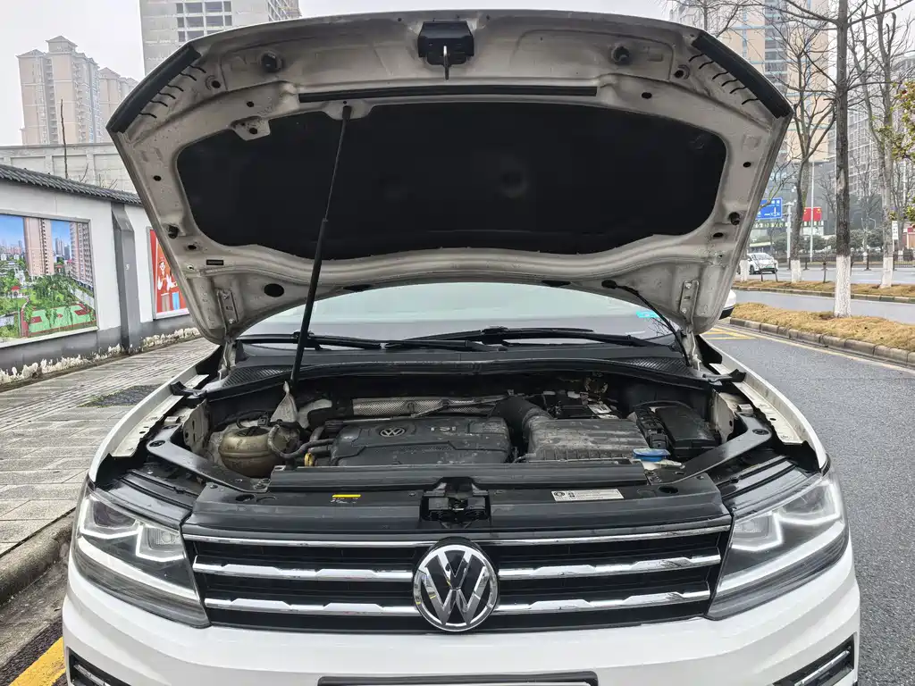 Volkswagen Volkswagen Tiguan L 2017 330TSI Automatic 2WD Luxury Edition 2017 - thumbnail 4
