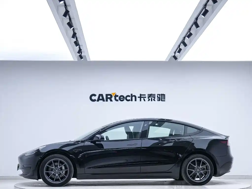Tesla Model 3 2021 Standard Range Rear-Wheel Drive Plus 3D6 2021 - thumbnail 3