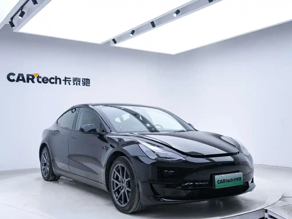 Tesla Model 3 2021 Standard Range Rear-Wheel Drive Plus 3D6 2021 - thumbnail 12