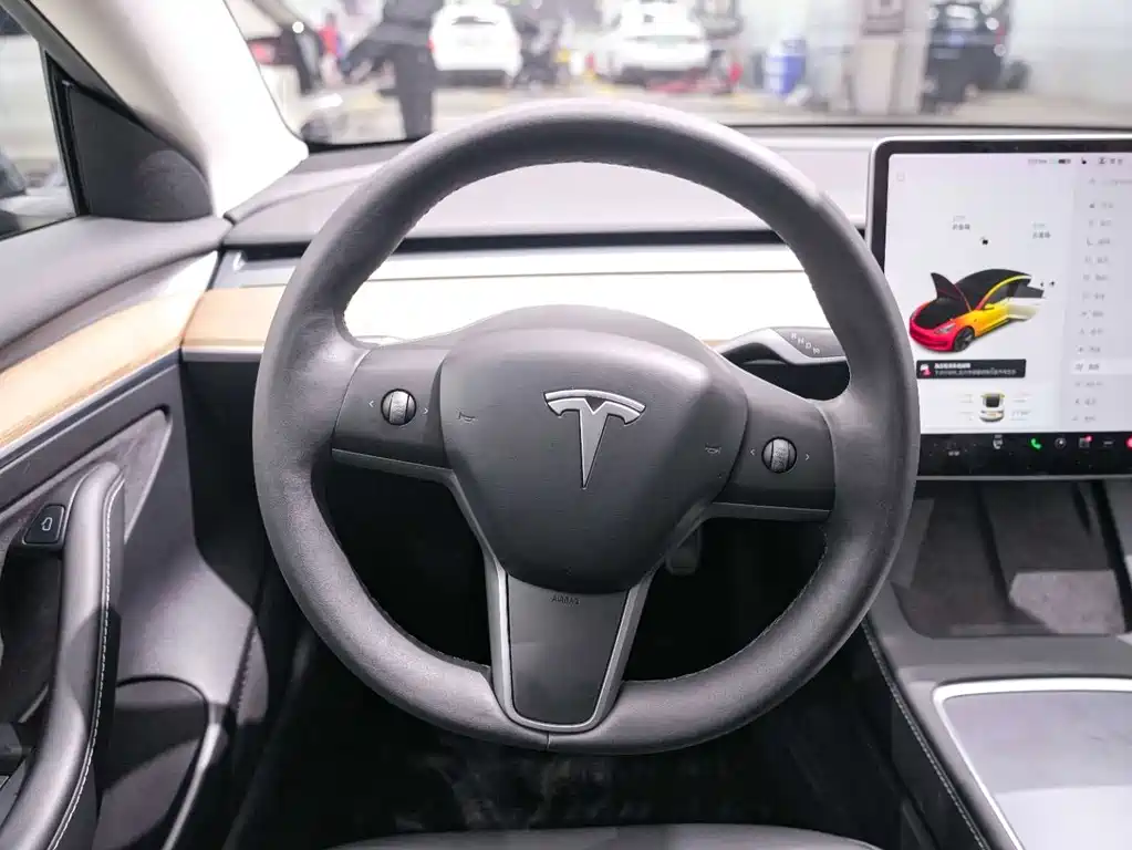 Tesla Model 3 2021 Standard Range Rear-Wheel Drive Plus 3D6 2021 - thumbnail 13