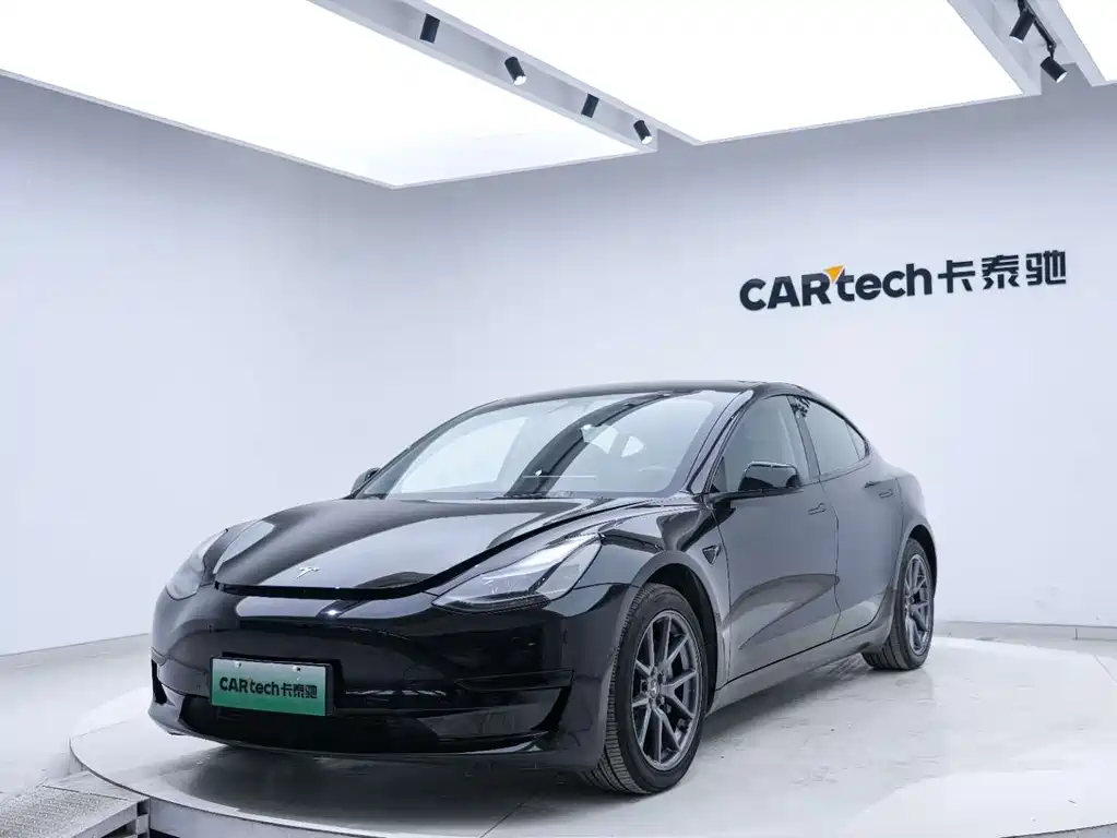 Tesla Model 3 2021 Standard Range Rear-Wheel Drive Plus 3D6 2021 - thumbnail 15