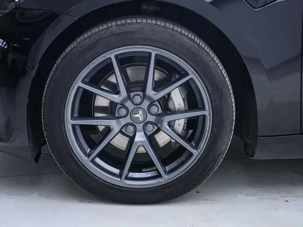 Tesla Model 3 2021 Standard Range Rear-Wheel Drive Plus 3D6 2021 - thumbnail 19