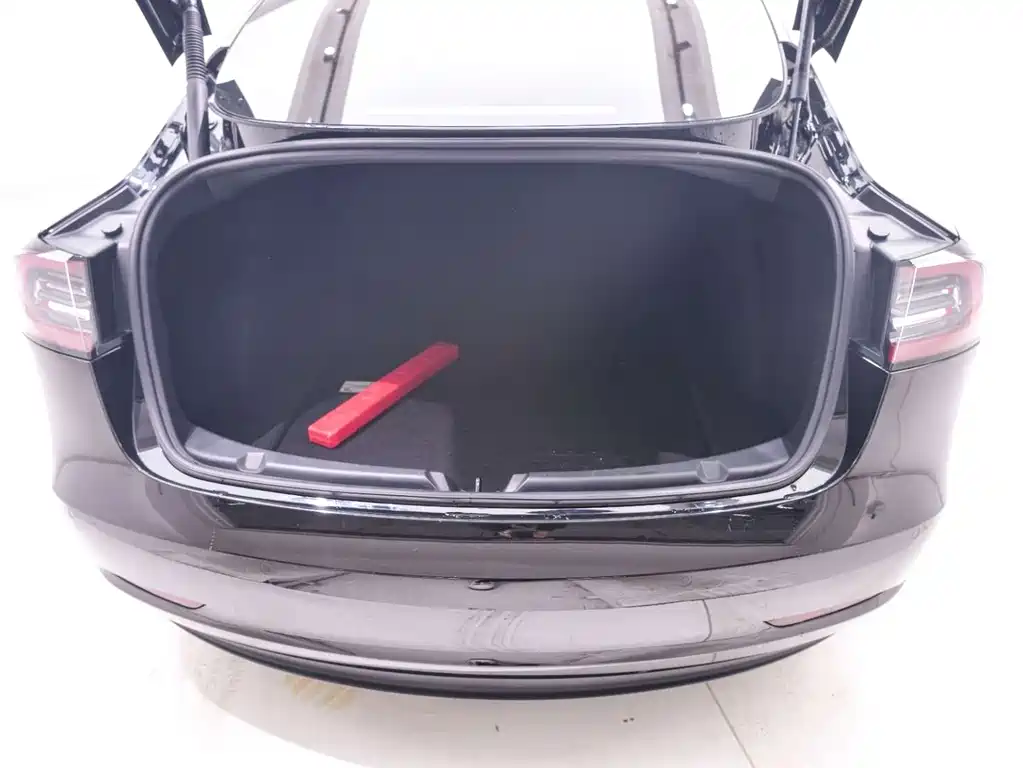 Tesla Model 3 2021 Standard Range Rear-Wheel Drive Plus 3D6 2021 - thumbnail 21
