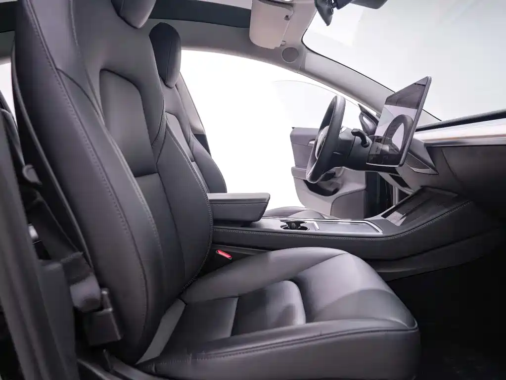 Tesla Model 3 2021 Standard Range Rear-Wheel Drive Plus 3D6 2021 - thumbnail 26