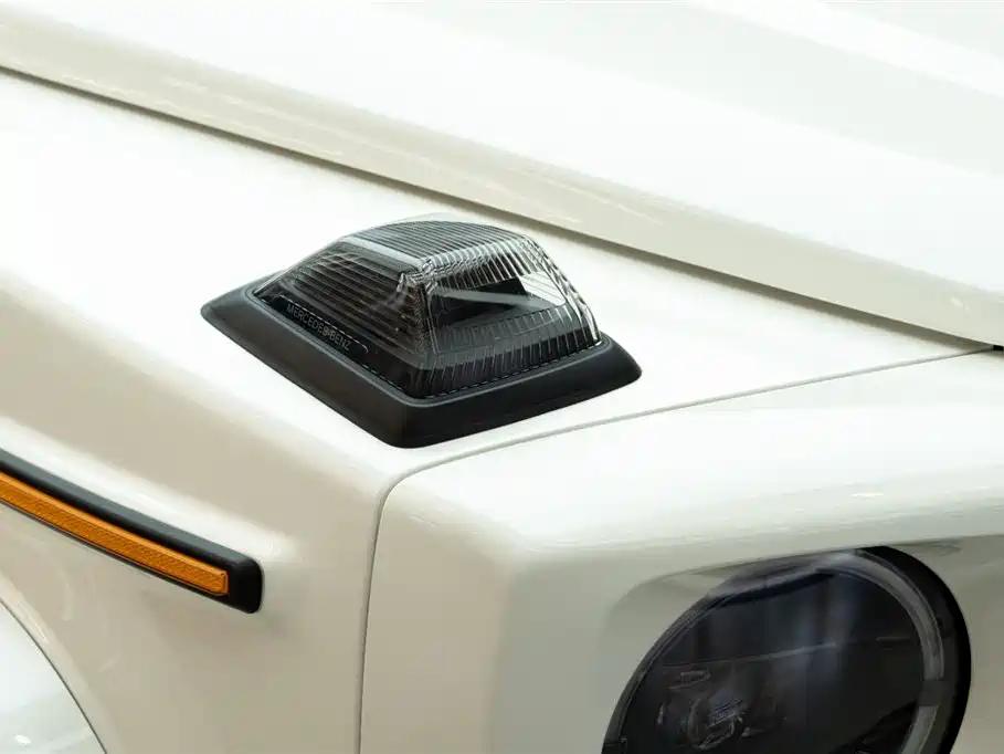 Mercedes-Benz Mercedes-Benz G-Class AMG 2020 AMG G 63 2022 - thumbnail 20