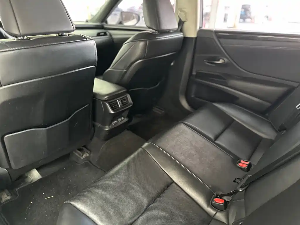 Lexus Lexus ES 2020 200 Luxury Edition 2019 - thumbnail 8