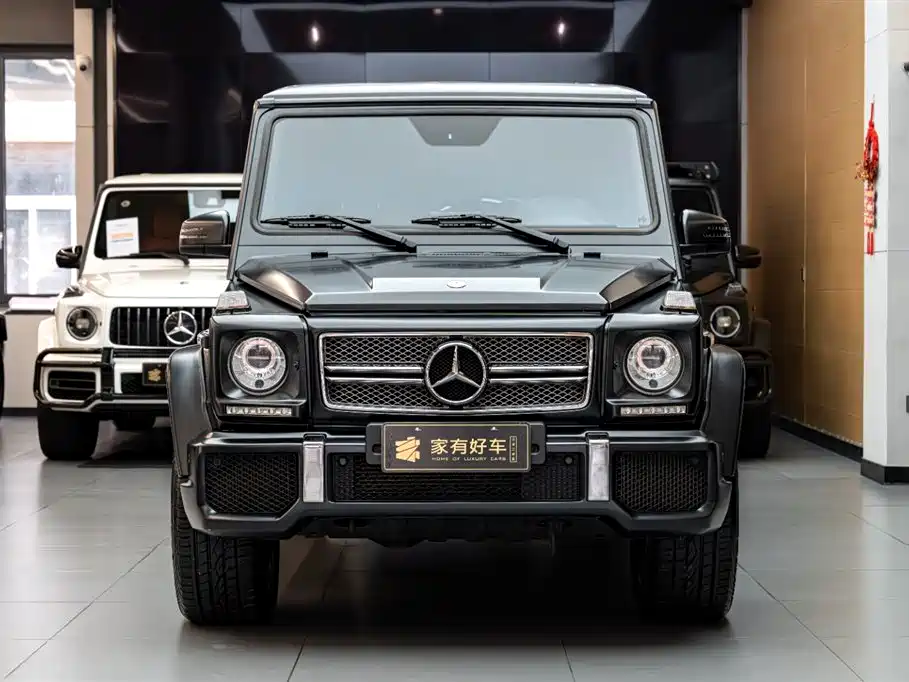Mercedes-Benz Mercedes-Benz G-Class AMG 2013 AMG G 65 2014 - thumbnail 2