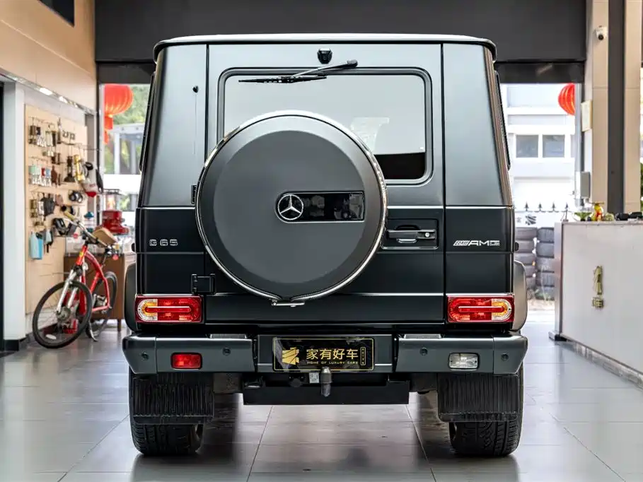 Mercedes-Benz Mercedes-Benz G-Class AMG 2013 AMG G 65 2014 - thumbnail 5