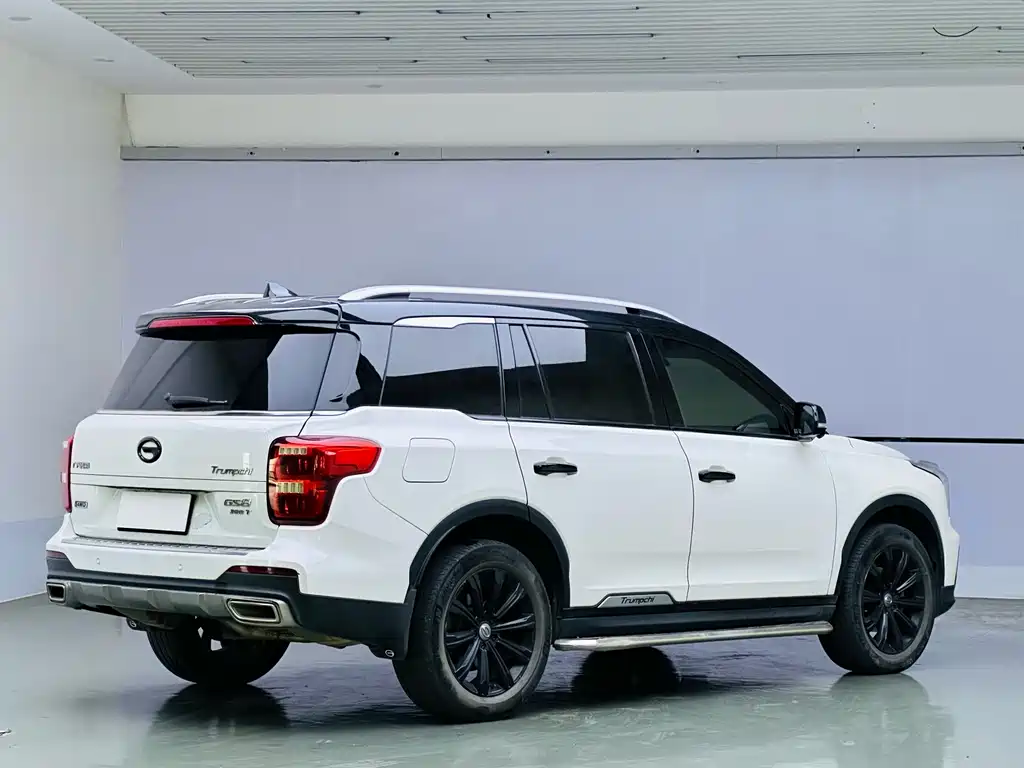 GAC Trumpchi GAC Trumpchi GS8 2020 390T AWD Luxury Intelligent Connectivity Version (7-seater) 2020 - thumbnail 6