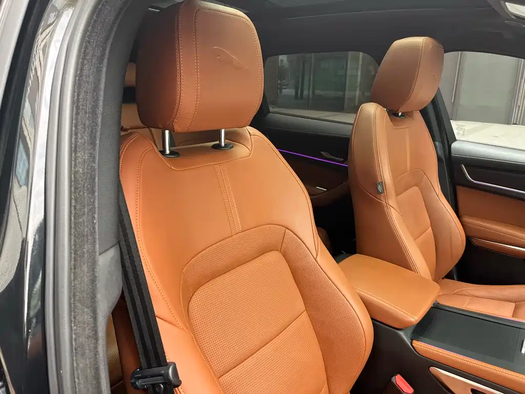 Jaguar Jaguar F-PACE 2022 P250 R-Dynamic BLACK 2022 - thumbnail 23