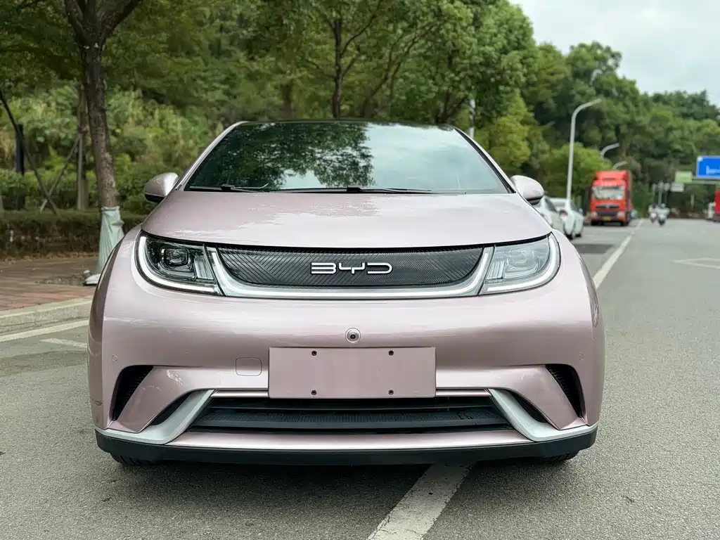 BYD Dolphin 2023 Model 420km Fashion Edition 2023 - thumbnail 2