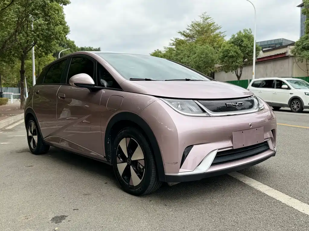 BYD Dolphin 2023 Model 420km Fashion Edition 2023 - thumbnail 3