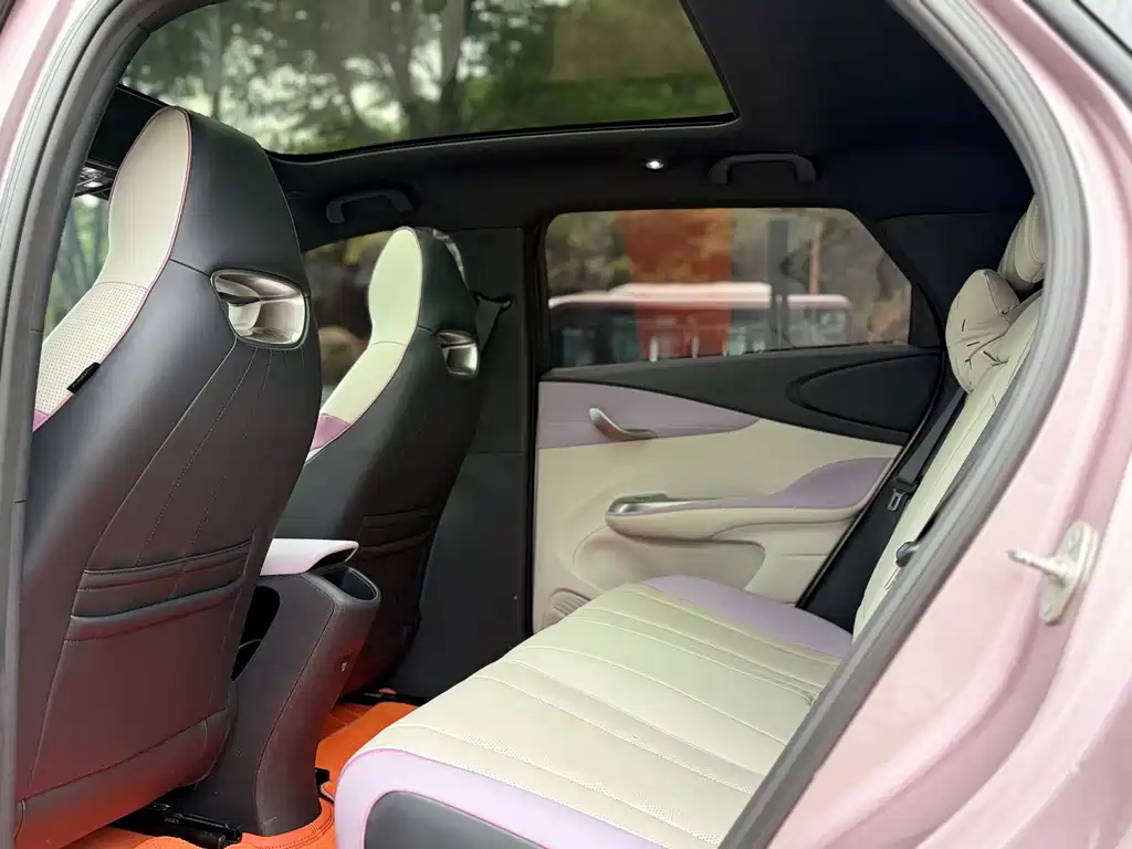 BYD Dolphin 2023 Model 420km Fashion Edition 2023 - thumbnail 9