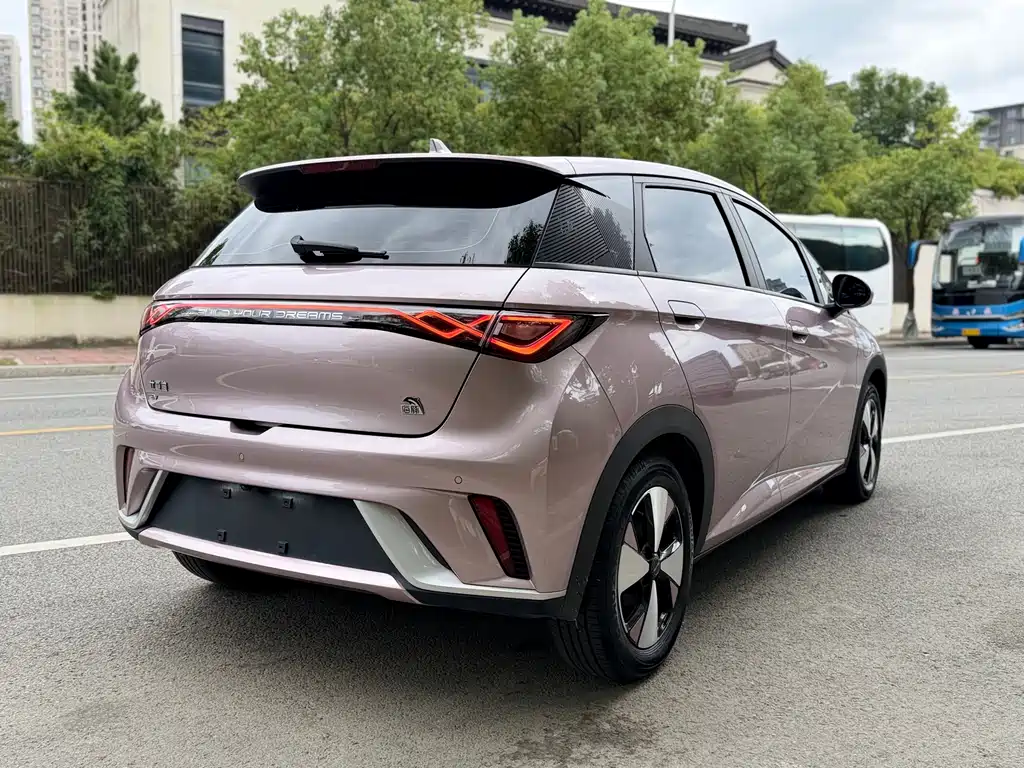 BYD Dolphin 2023 Model 420km Fashion Edition 2023 - thumbnail 11