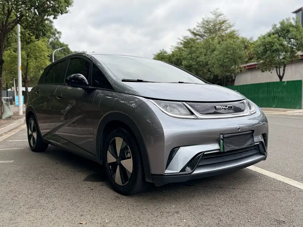BYD Dolphin 2023 Model 420km Fashion Edition 2023 - thumbnail 3