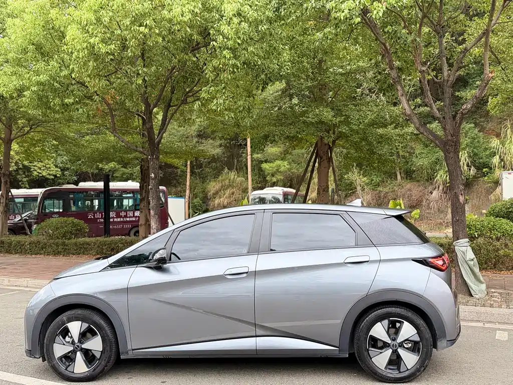 BYD Dolphin 2023 Model 420km Fashion Edition 2023 - thumbnail 13
