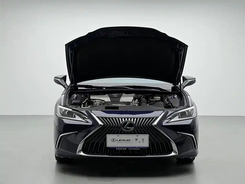 Lexus Lexus ES 2020 200 Excellence Edition 2020 - thumbnail 3