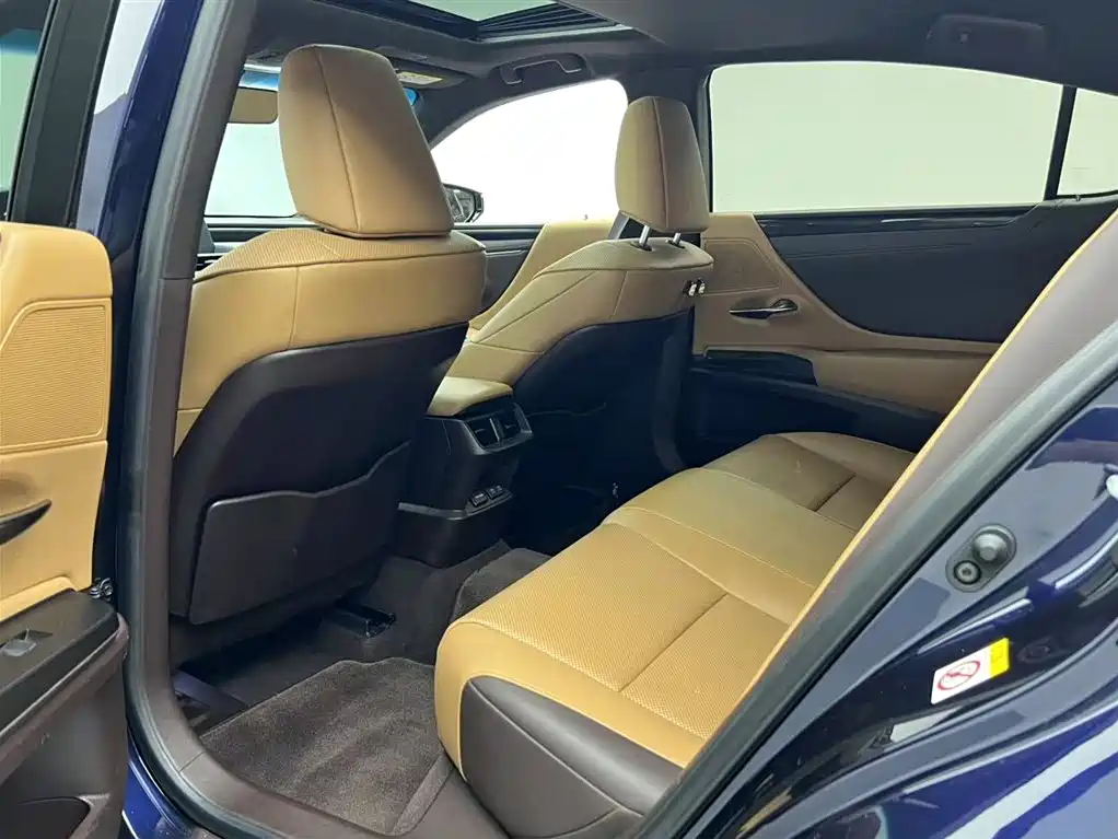 Lexus Lexus ES 2020 200 Excellence Edition 2020 - thumbnail 12