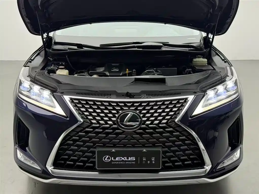 Lexus Lexus RX 300 AWD Elegant Edition (2020 Model Year Facelift) 2021 - thumbnail 3