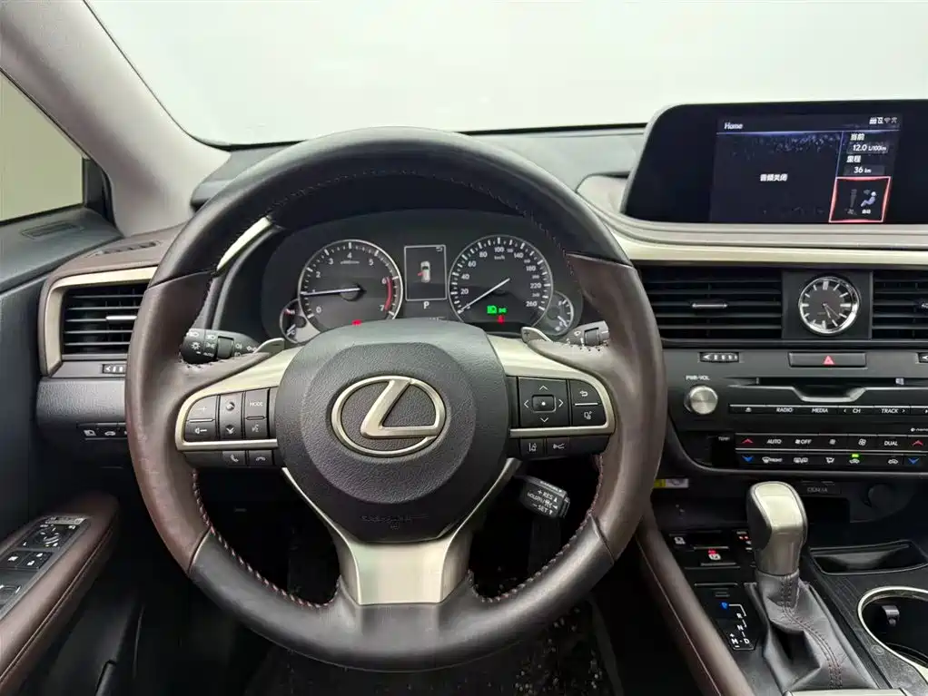 Lexus Lexus RX 300 AWD Elegant Edition (2020 Model Year Facelift) 2021 - thumbnail 5