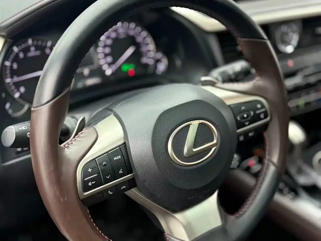 Lexus Lexus RX 300 AWD Elegant Edition (2020 Model Year Facelift) 2021 - thumbnail 9