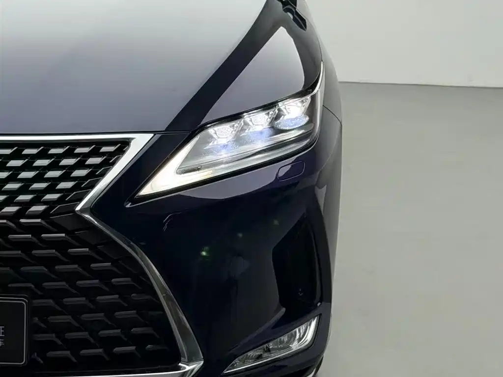Lexus Lexus RX 300 AWD Elegant Edition (2020 Model Year Facelift) 2021 - thumbnail 13