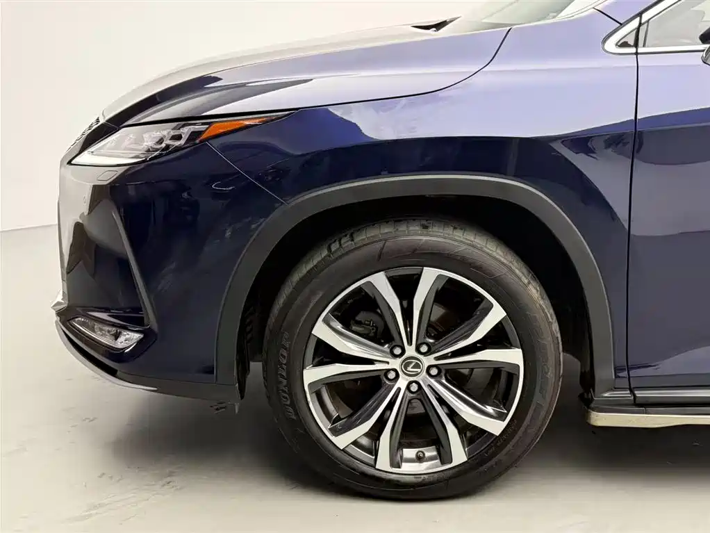 Lexus Lexus RX 300 AWD Elegant Edition (2020 Model Year Facelift) 2021 - thumbnail 14