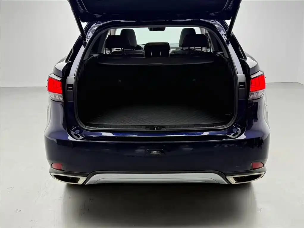 Lexus Lexus RX 300 AWD Elegant Edition (2020 Model Year Facelift) 2021 - thumbnail 16