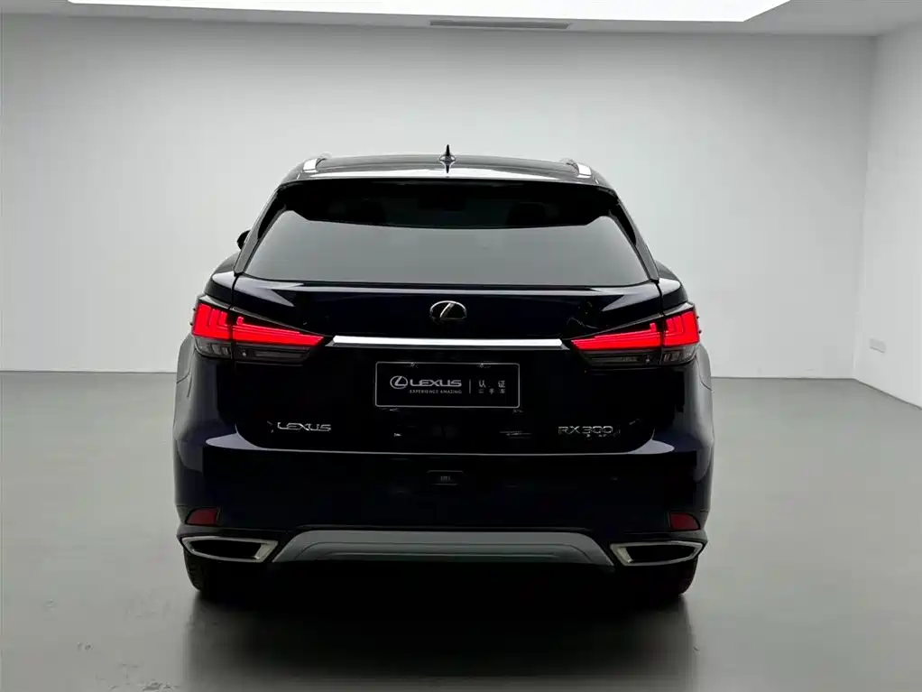 Lexus Lexus RX 300 AWD Elegant Edition (2020 Model Year Facelift) 2021 - thumbnail 17