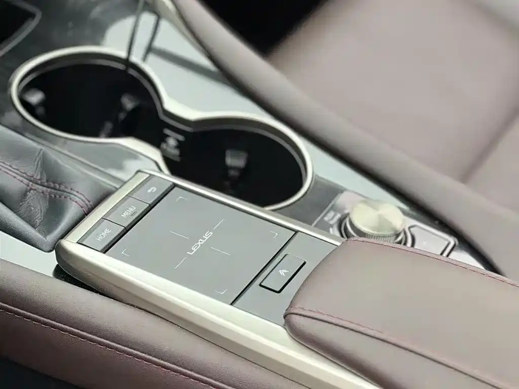 Lexus Lexus RX 300 AWD Classic Edition 2020 Model Year Facelift 2021 - thumbnail 8