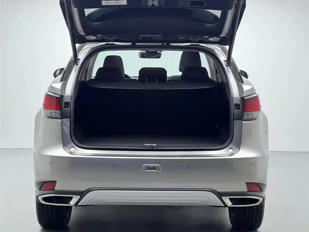 Lexus Lexus RX 300 AWD Classic Edition 2020 Model Year Facelift 2021 - thumbnail 16