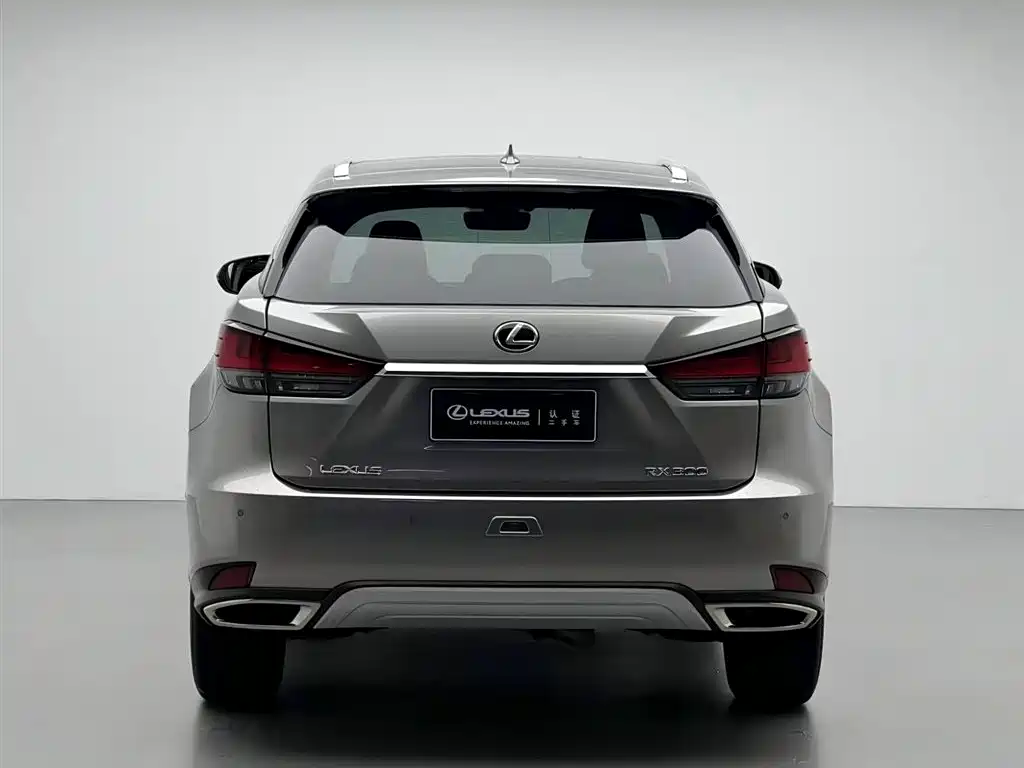 Lexus Lexus RX 300 AWD Classic Edition 2020 Model Year Facelift 2021 - thumbnail 17