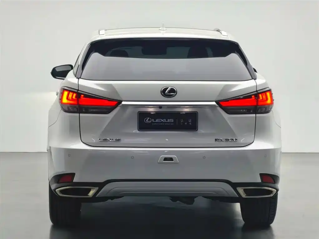 Lexus Lexus RX 300 AWD Elegant Edition (2020 Model Year Facelift) 2023 - thumbnail 16