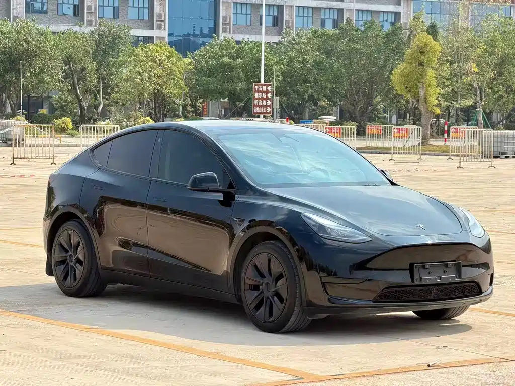 Tesla Model Y 2023 Rear-Wheel Drive 2024 - thumbnail 2