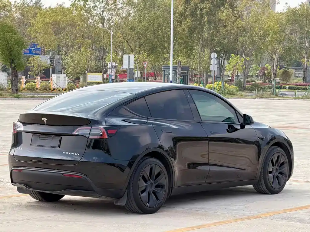 Tesla Model Y 2023 Rear-Wheel Drive 2024 - thumbnail 5