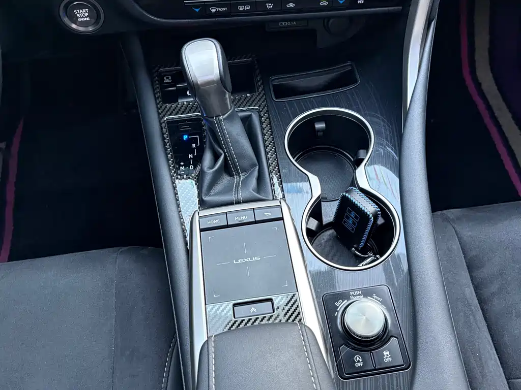 Lexus Lexus RX 300 F Sport (2020 Facelift) AWD Premium Edition 2022 - thumbnail 15
