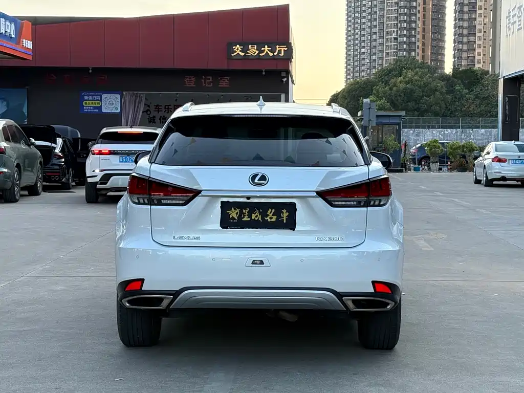 Lexus Lexus RX 300 F Sport (2020 Facelift) AWD Premium Edition 2022 - thumbnail 19
