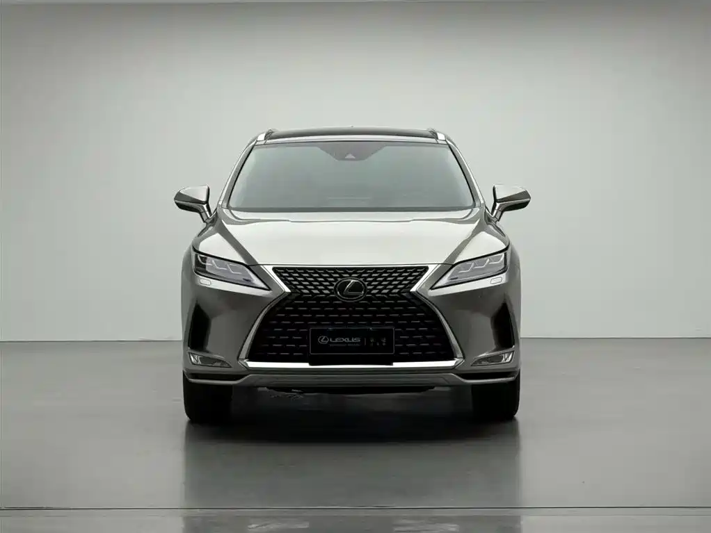Lexus Lexus RX 300 AWD Elegant Edition 2020 Model国V 2021 - thumbnail 2