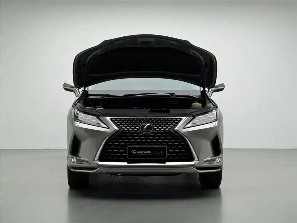 Lexus Lexus RX 300 AWD Elegant Edition 2020 Model国V 2021 - thumbnail 3